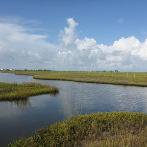 Team Page: Support Wetlands!